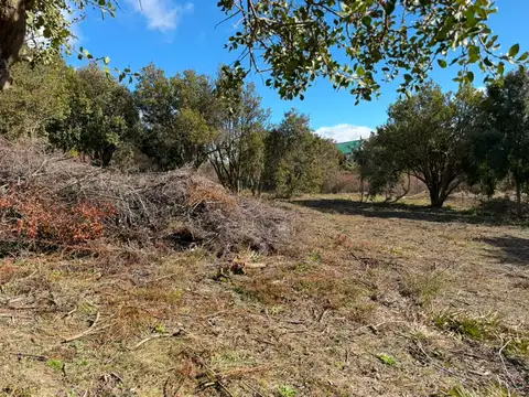 Solares del Este lote 100