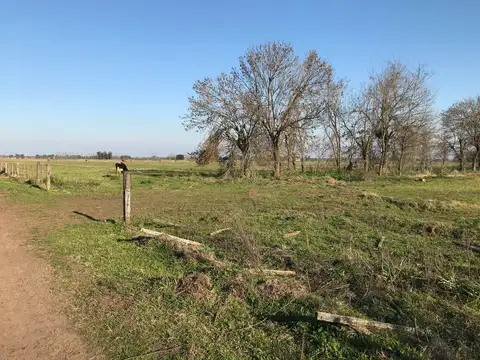Campo en venta en General Rodriguez