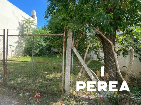 Carlos Pellegrini 336