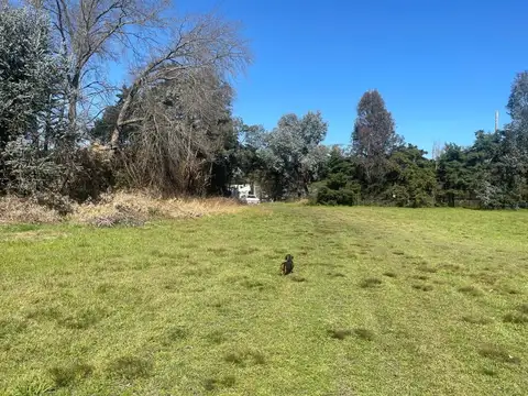 Terreno en Venta 40  mts Frente