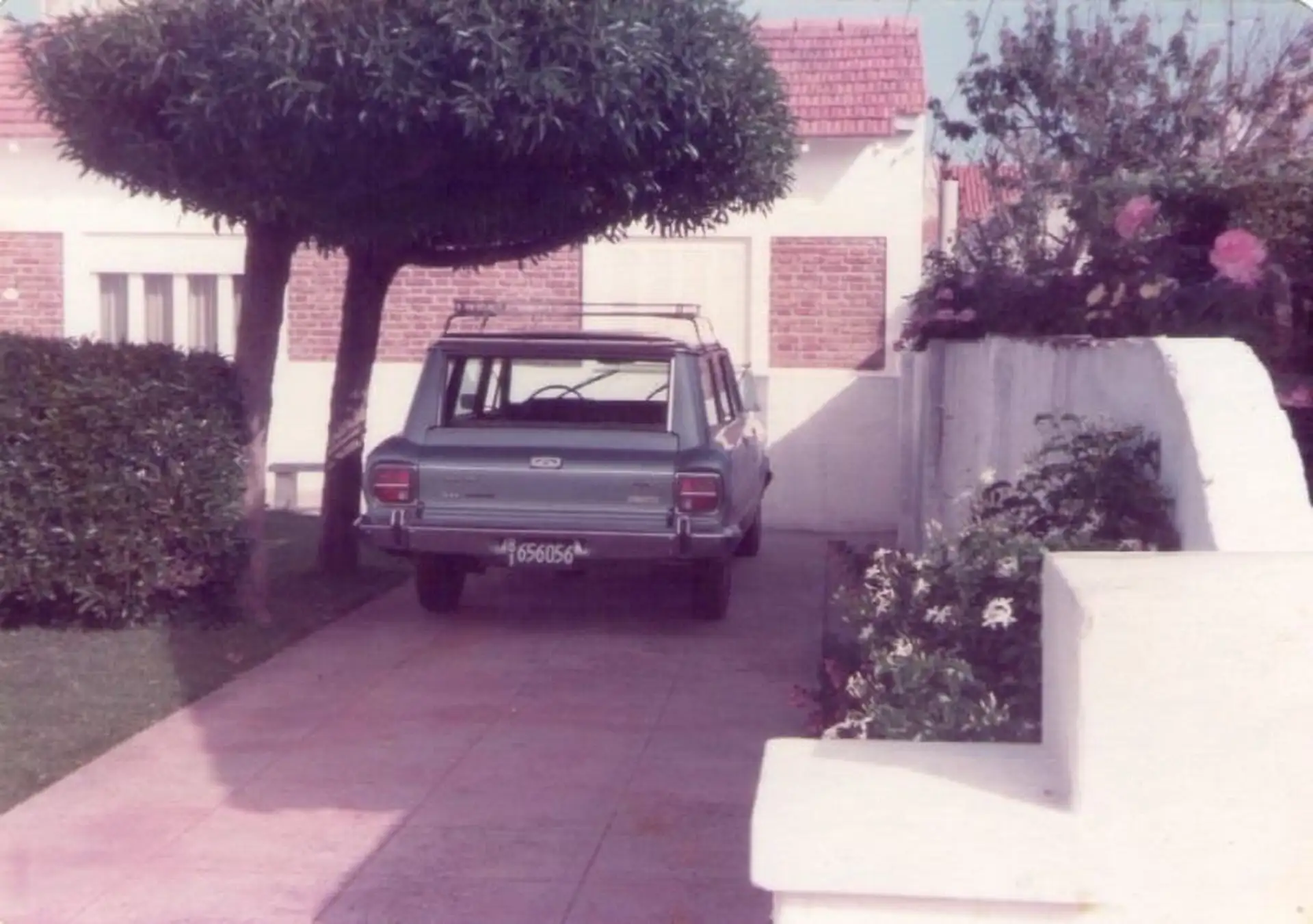 Chalet - PUNTA MOGOTES