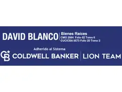 Coldwell Banker Lion Team