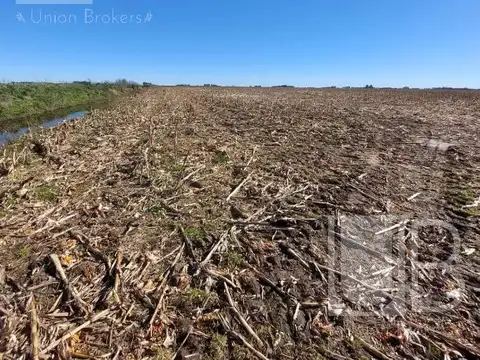 Campo en Saladillo