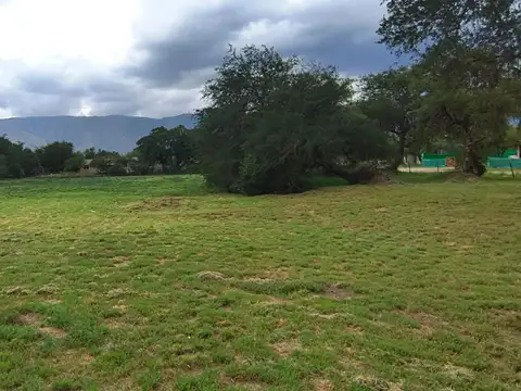 Terreno en Venta de 6302,0 m2