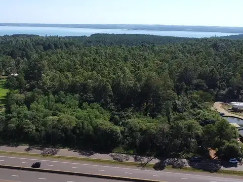 Oportunidad de Inversión Épica en Ruta 12 * 11,5 Has *