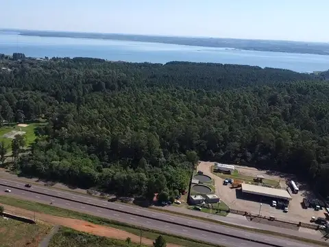 Campo en Venta de 115  ha