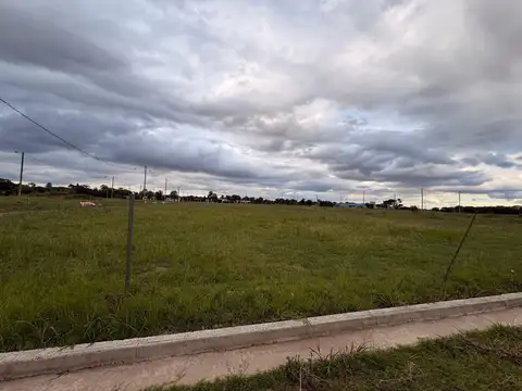 Herminio conci 100