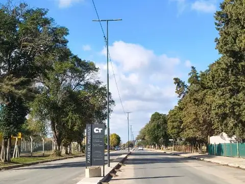 Herminio conci 100