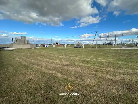 Lote Docta Central
