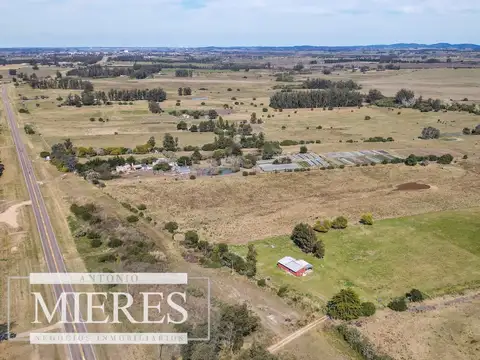Chacra de 5ha con casa ruta 39 Maldonado