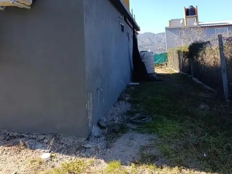 Nomeolvides 100