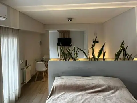 MONOAMBIENTE EN ALQUILER ZONA RIO AMENITIES