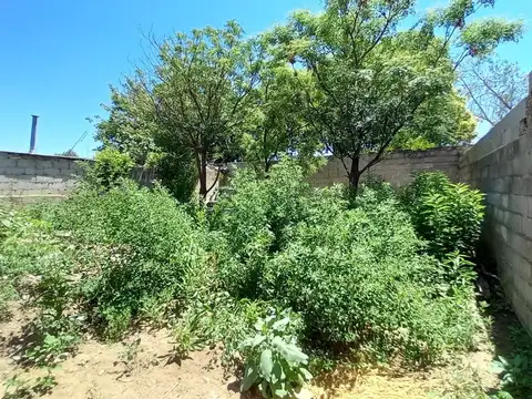 Antonio de la Masa 3300