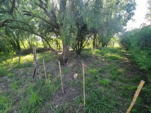 Terreno en Venta de 1114,0 m2