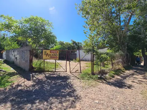 Lote sobre Mendez y Alfonso XIII, Glew 