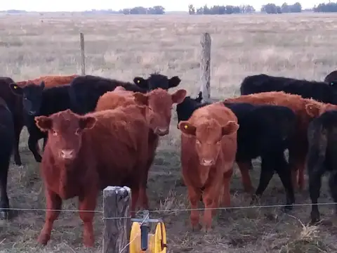 ESPECTACULAR estancia