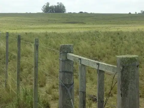 Campo en Venta de 7.000  ha