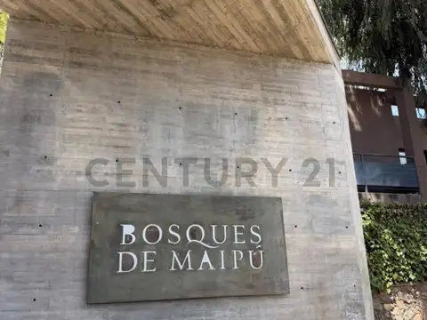 Juan Agustín Maza 260