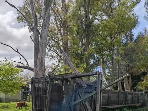 Espectacular Campo 90 has. Agrícolas en Paysandú
