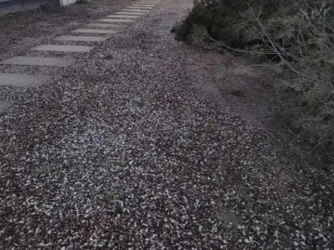 Departamentos en venta - 2 Dormitorios 2 Baños - San Antonio 