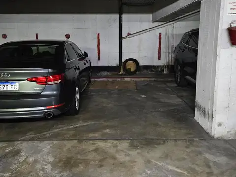 Alem 300