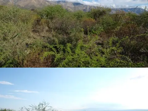 Terreno en Venta de 10350,0 m2