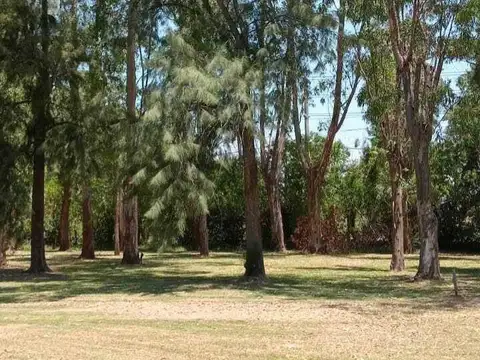 4 HECTAREAS CON ARBOLEDA Y ARROYO - SUP VENDIBLE 18.838 m2 -