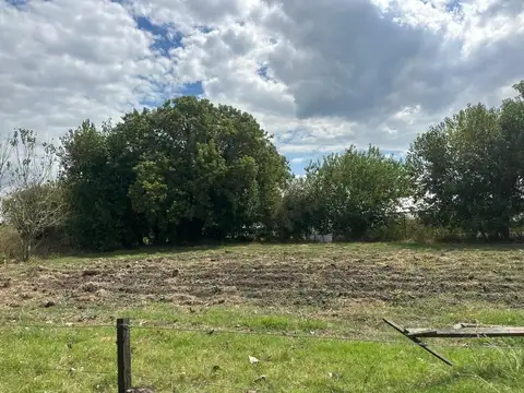 CAMPO PARADA ROBLES EXALTACION DE LA CRUZ 2 HECTAREAS