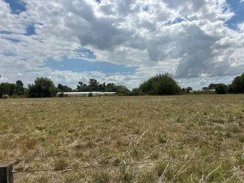 CAMPO PARADA ROBLES EXALTACION DE LA CRUZ 2 HECTAREAS