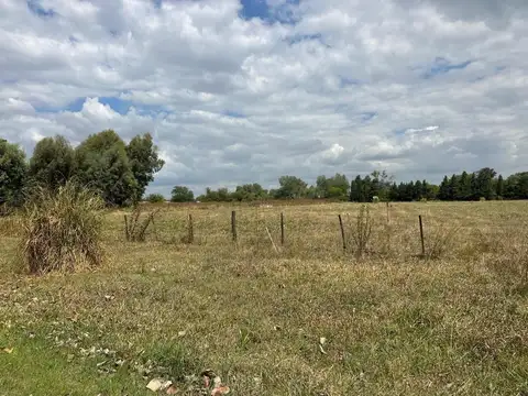 CAMPO PARADA ROBLES EXALTACION DE LA CRUZ 2 HECTAREAS