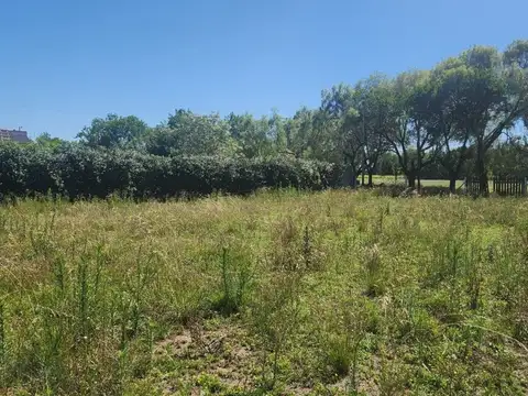 VENTA TERRENO 2500 MTS EN QUINTAS DE ITALIA 1