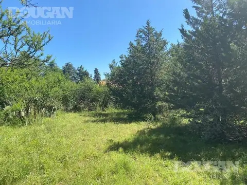 Terreno en Venta 19  mts Frente