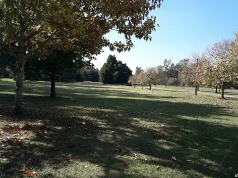Terreno en Venta en Cañuelas, USD 110.000