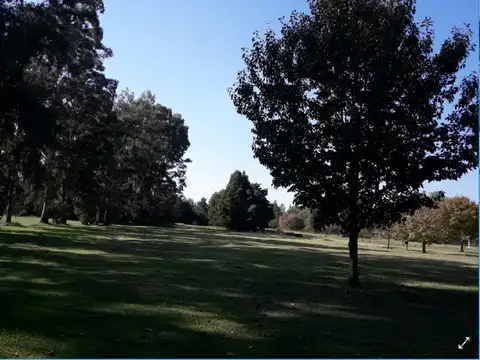Terreno en Venta de 6837,0 m2