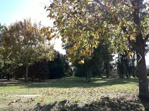 Chacras La Taquara