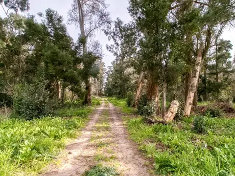Terreno en Venta en La Plata, Partido de La Plata