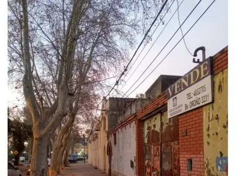 Alvear 2647