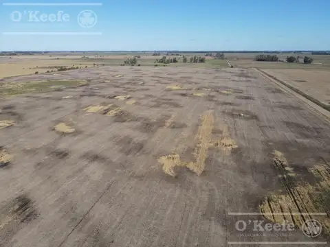 Campo en venta 178 Has agrícolas en Las Heras