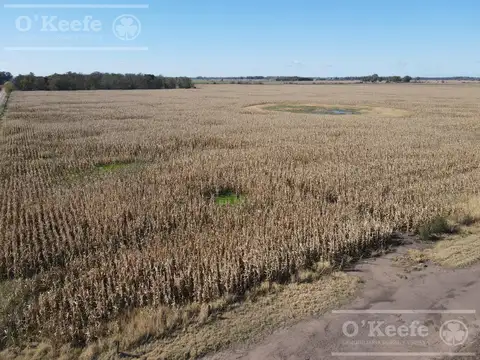 Campo en venta 178 Has mixtas en Gral. Las Heras