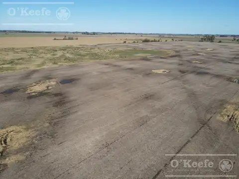 Campo en venta 178 Has agrícolas en Las Heras