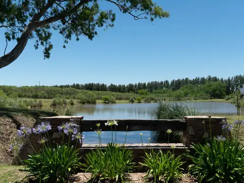 Terreno en Venta 30  mts Frente