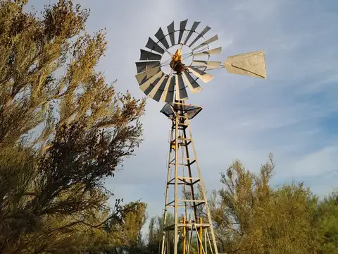 Campo en Venta de 4.500  ha