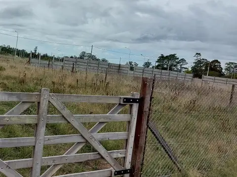 Argerich e/ Cuba y Jurado