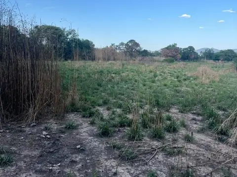 Venta de 3 Hectareas 