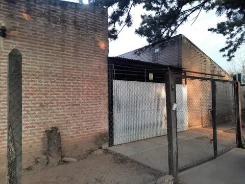 Lapachos 1600