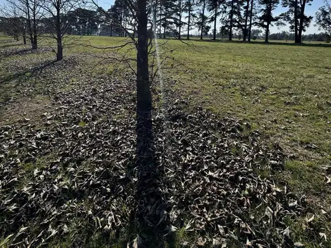 Terreno en Venta de 1500,0 m2