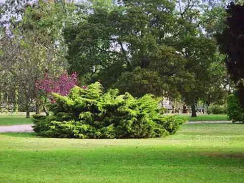 Terreno en Venta 20  mts Frente