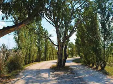 Terreno en Venta 45  mts Fondo