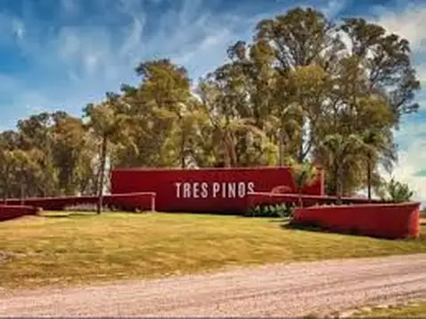 Ruta Provincial 6 100