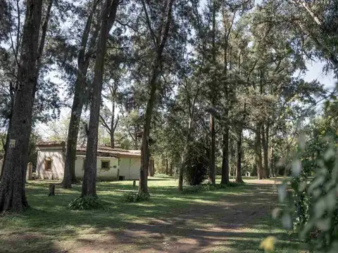 Lucio V. Mansilla 7800